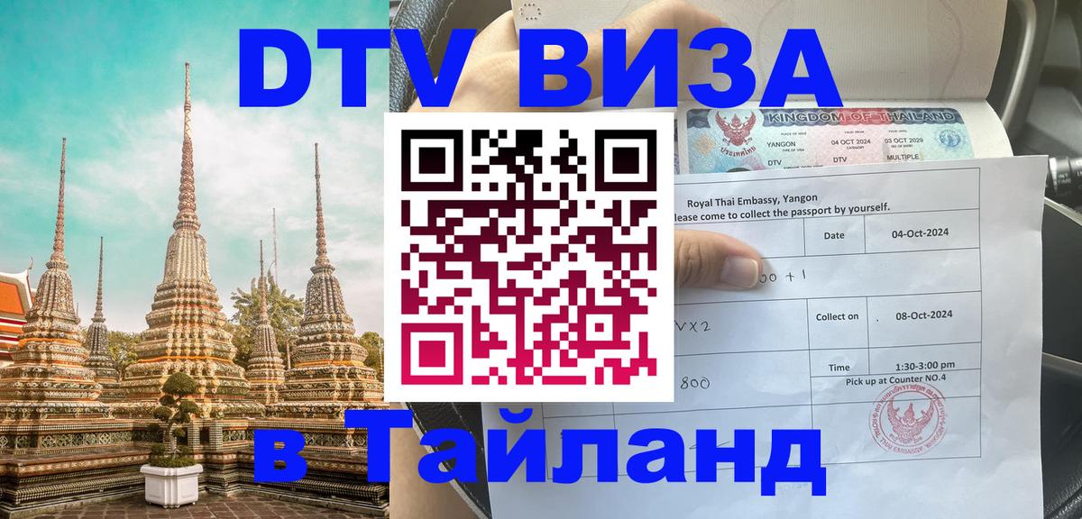 Оформление DTV визы под ключ: стоимость и тарифы, только загранпаспорт - 